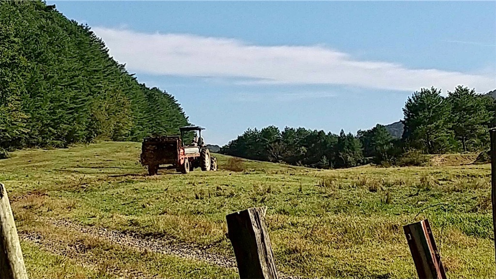 f:id:aki_tokitamago:20221008084105j:image