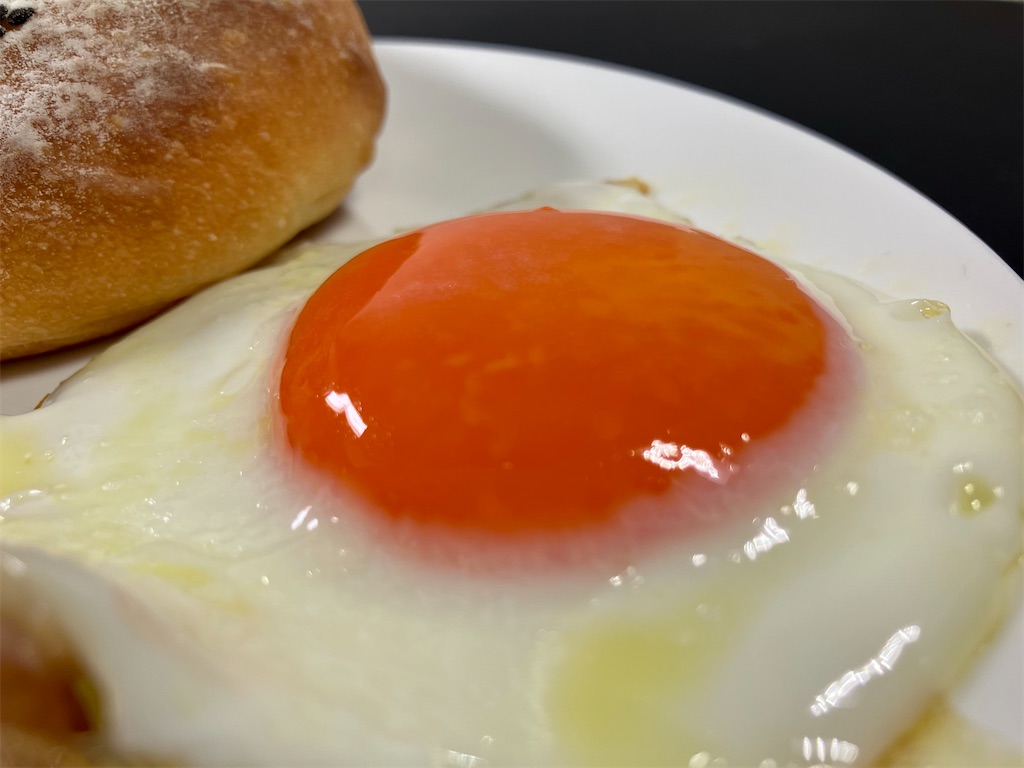 f:id:aki_tokitamago:20230206095326j:image