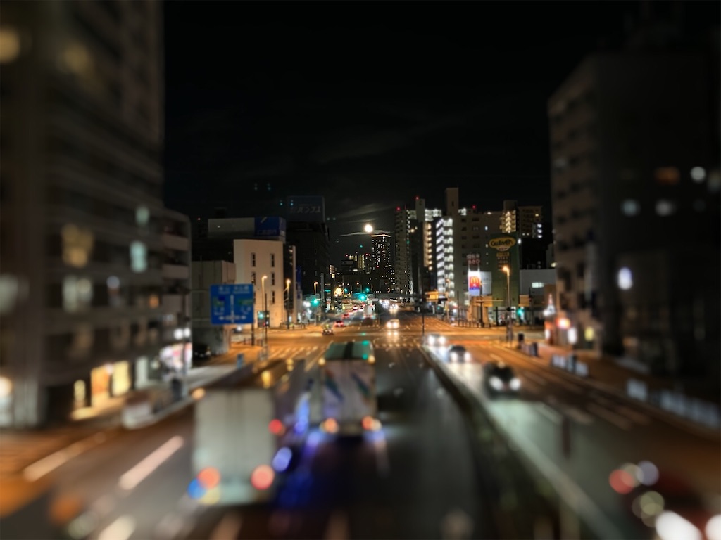 f:id:aki_tokitamago:20230813102917j:image f:id:aki_tokitamago:20230813102917j:image