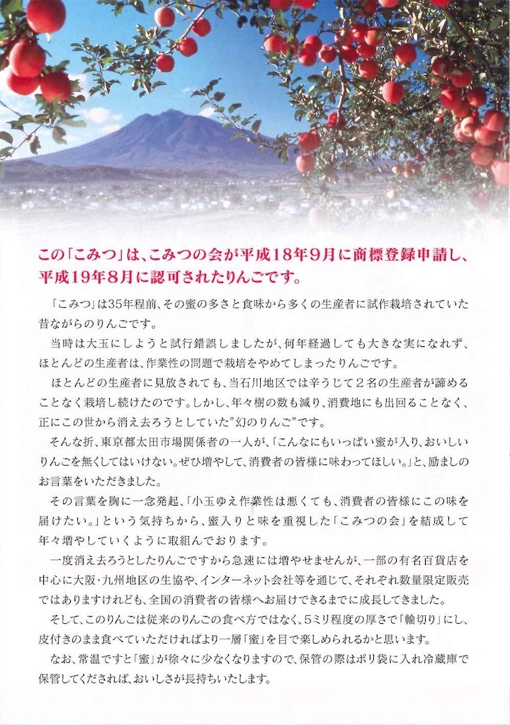 f:id:aki_tokitamago:20231222094054j:image