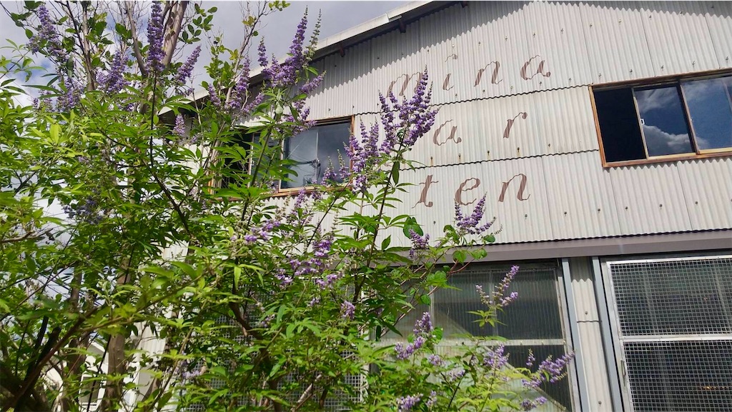 f:id:aki_tokitamago:20240708084440j:image