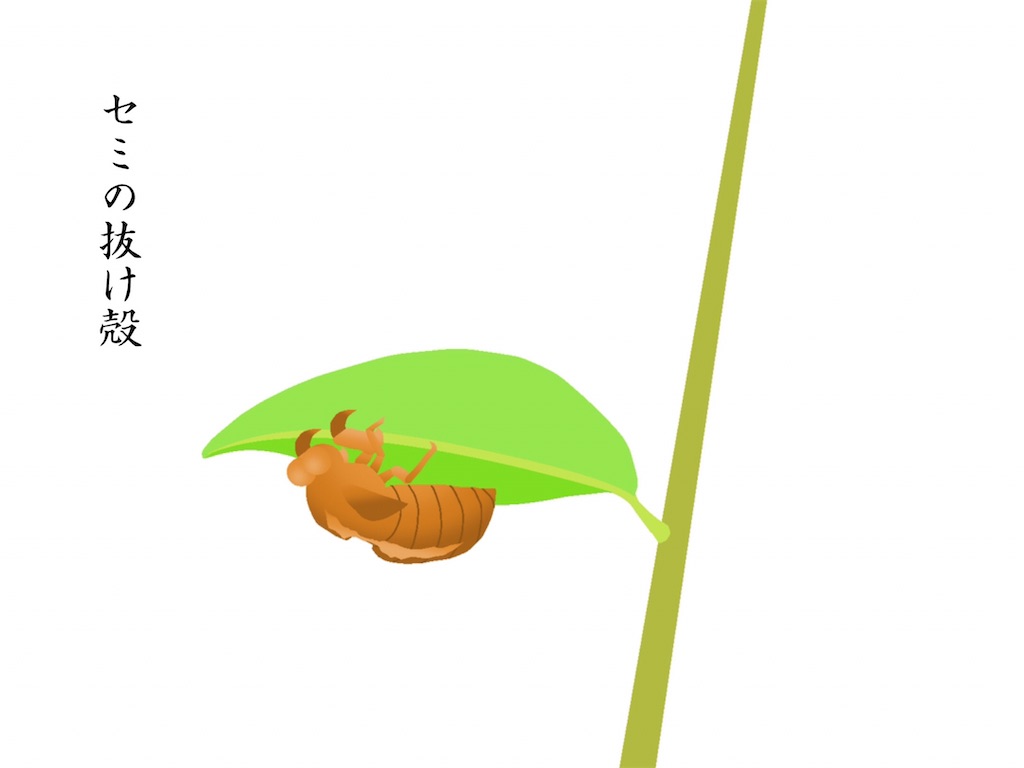 f:id:aki_tokitamago:20240723095901j:image