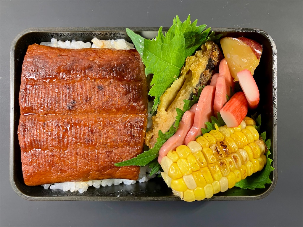 f:id:aki_tokitamago:20240724112931j:image f:id:aki_tokitamago:20240724112931j:image