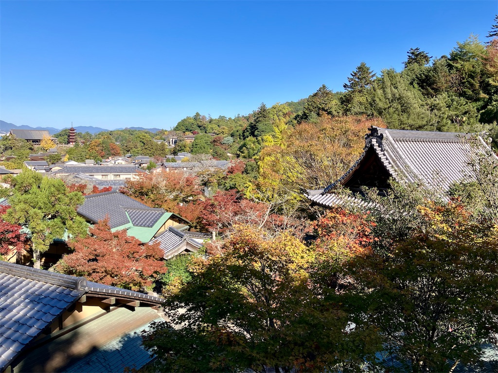 f:id:aki_tokitamago:20241128210941j:image f:id:aki_tokitamago:20241128210941j:image