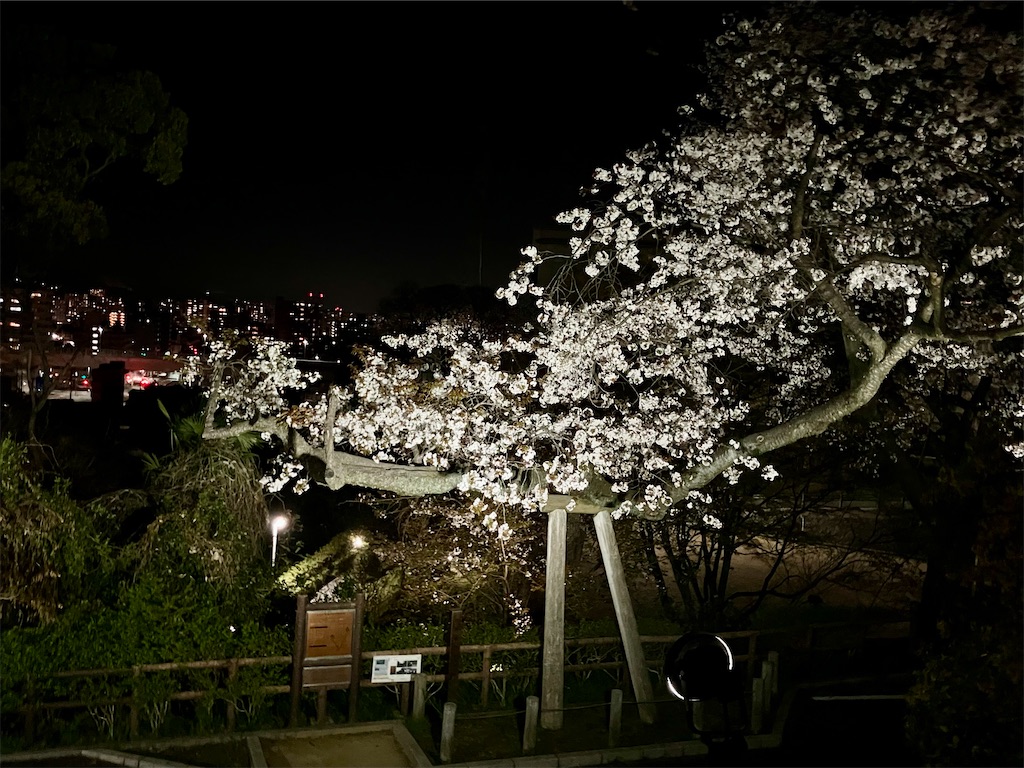 f:id:aki_tokitamago:20250408095015j:image
