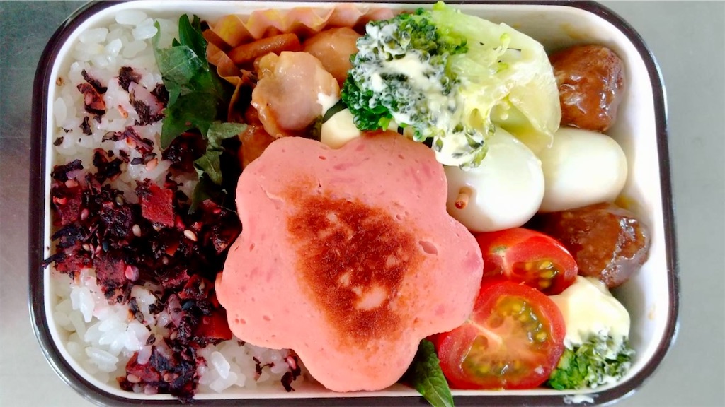 f:id:aki_tokitamago:20250511111704j:image