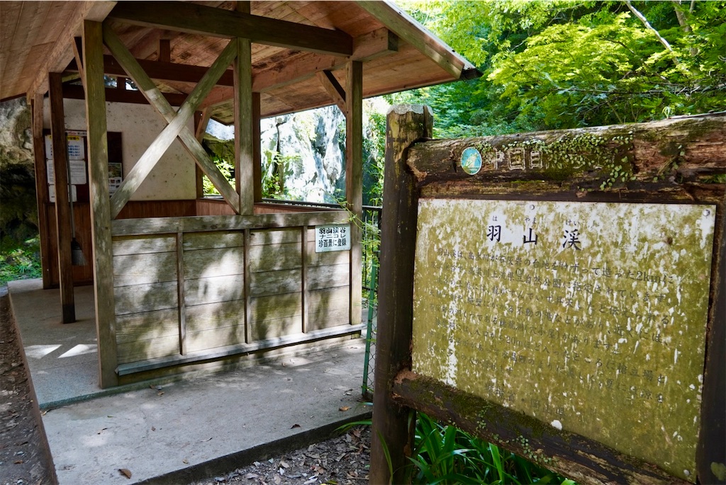 f:id:aki_tokitamago:20250721155252j:image