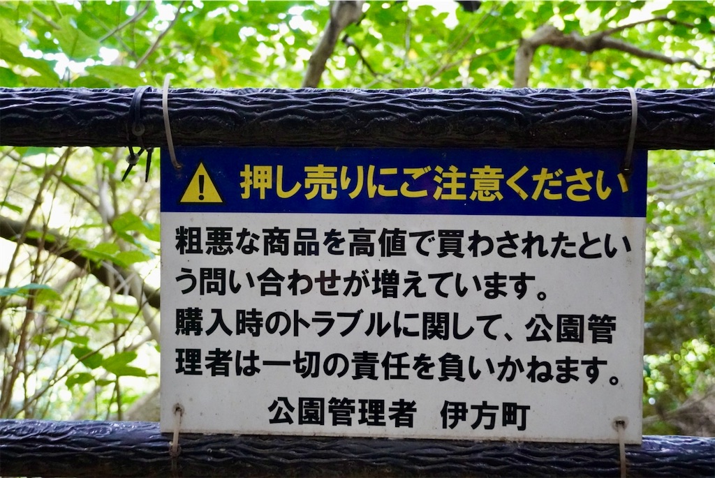 f:id:aki_tokitamago:20250914095946j:image
