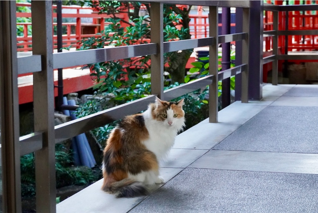 f:id:aki_tokitamago:20251002132130j:image