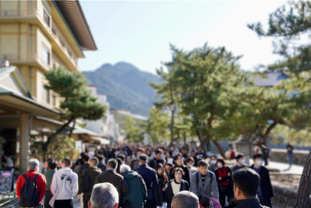 f:id:aki_tokitamago:20251123100958j:image