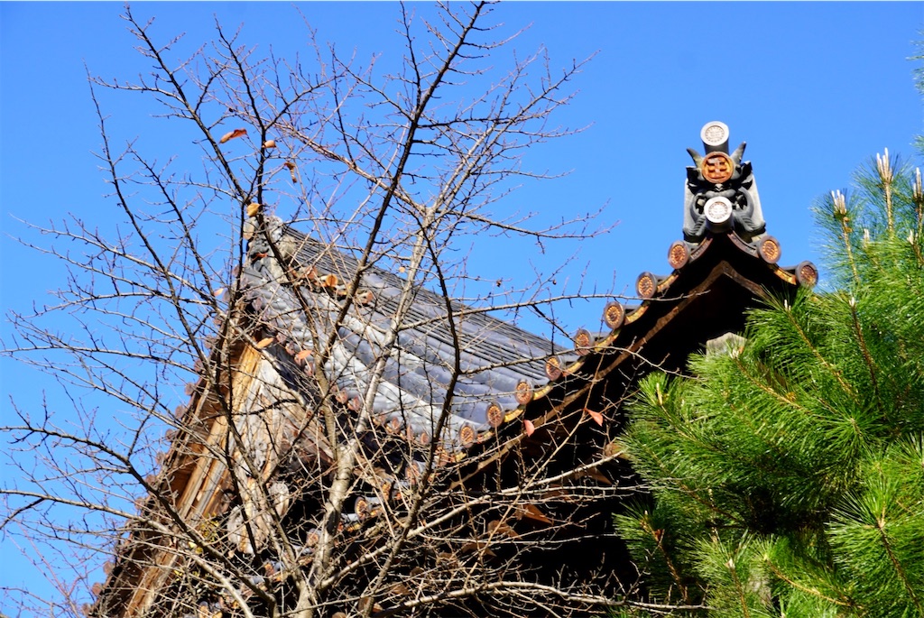 f:id:aki_tokitamago:20251123101006j:image