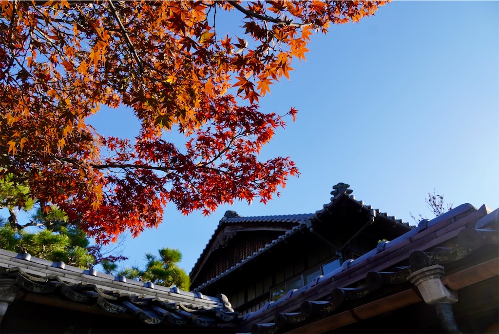 f:id:aki_tokitamago:20251123101014j:image