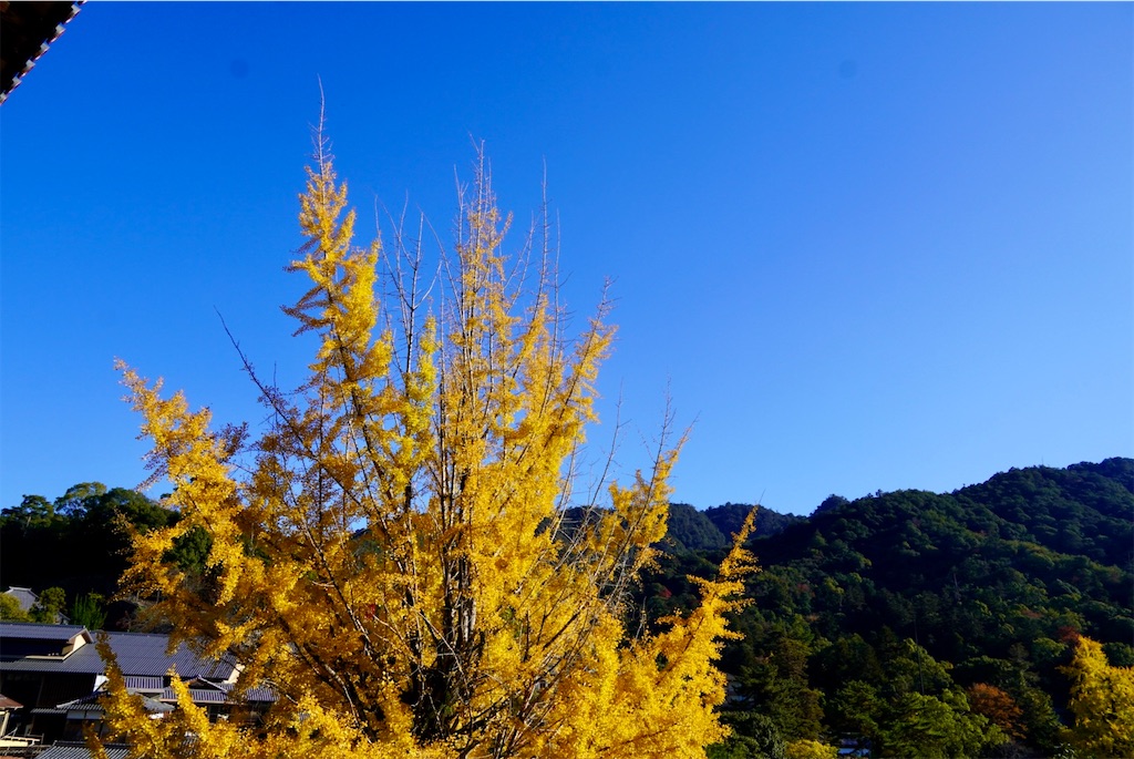 f:id:aki_tokitamago:20251123101018j:image