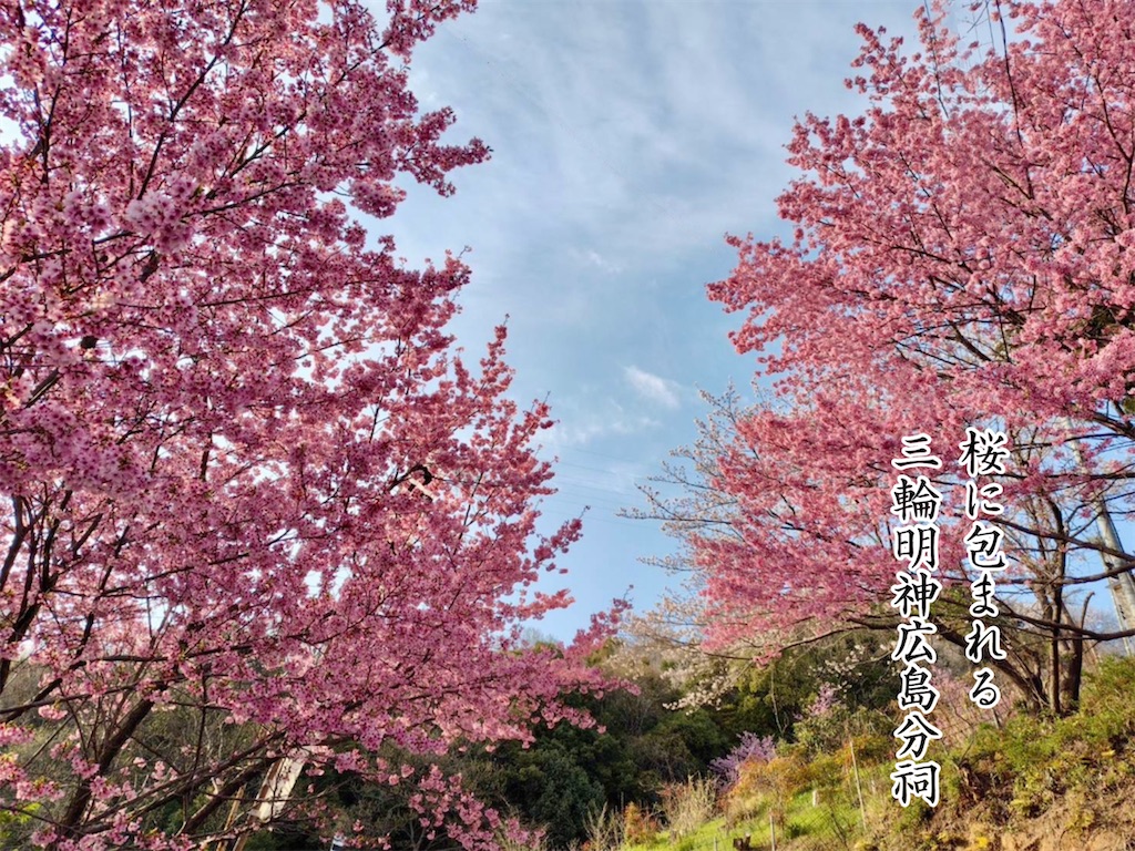エントリ画像