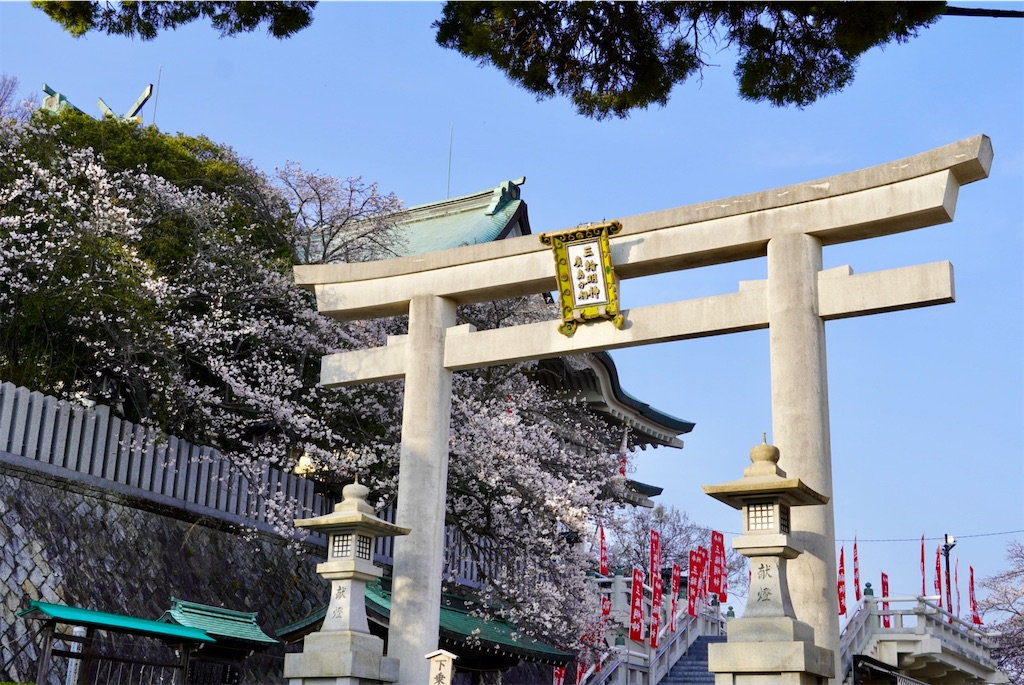 f:id:aki_tokitamago:20260330094125j:image