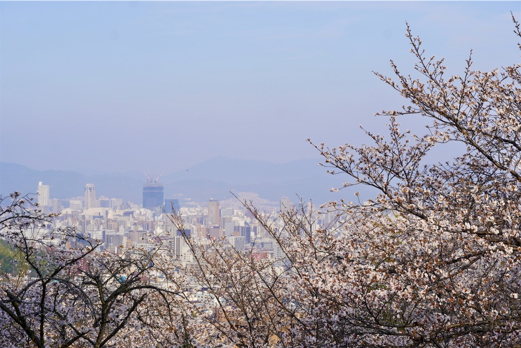 f:id:aki_tokitamago:20260330094608j:image