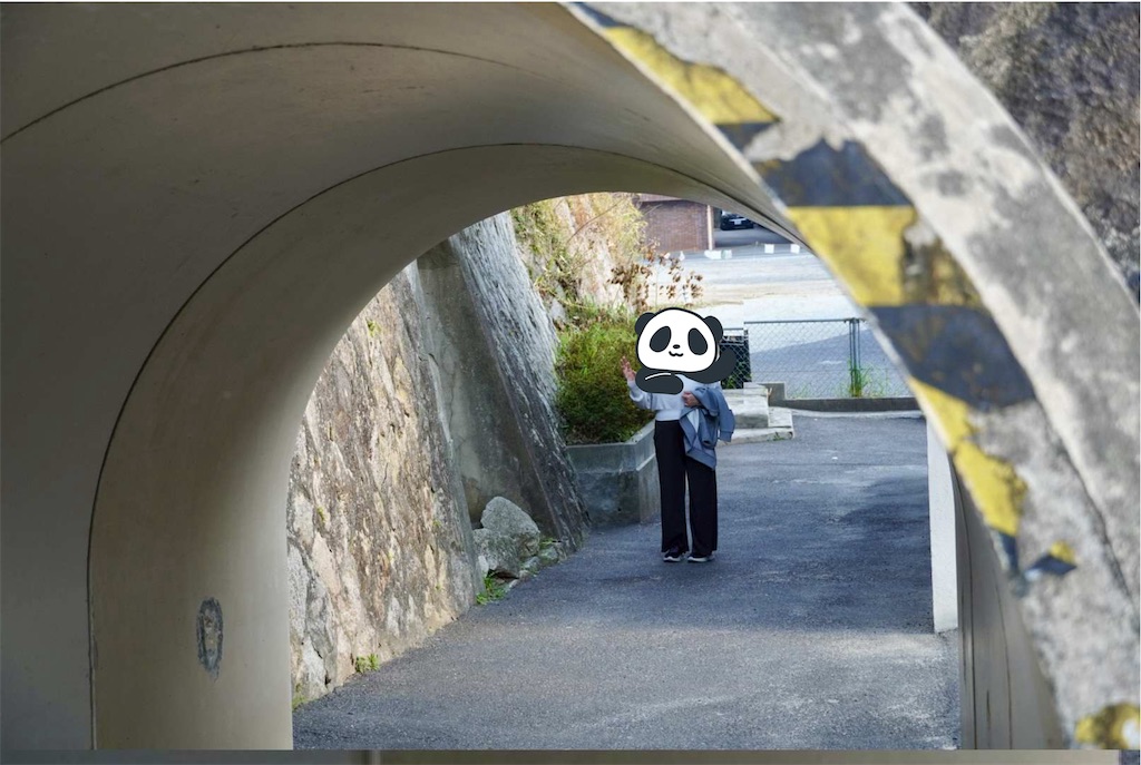 エントリ画像