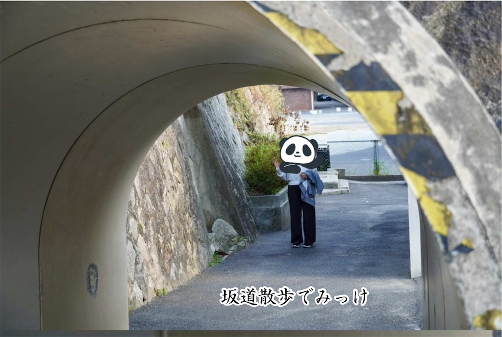 f:id:aki_tokitamago:20260402120435j:image