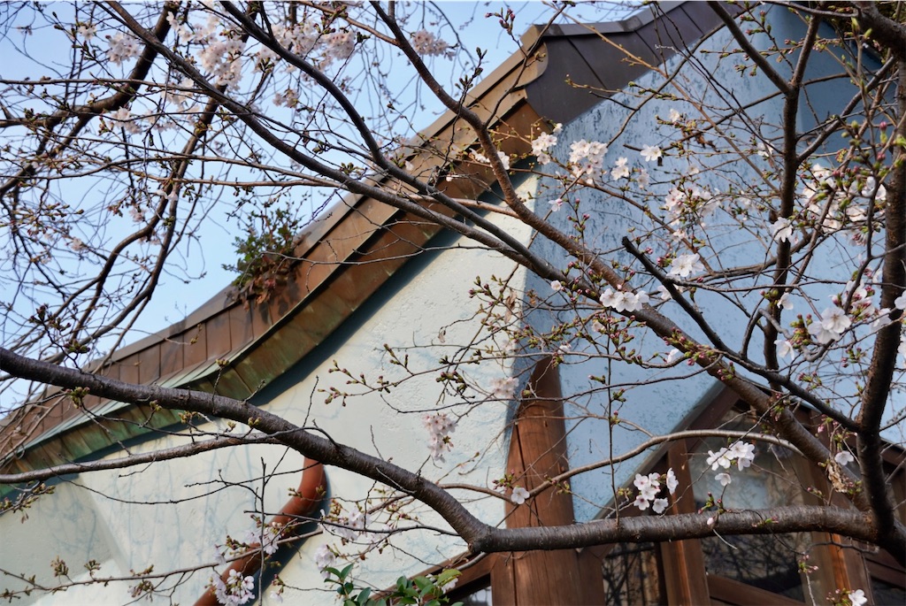 f:id:aki_tokitamago:20260402123201j:image