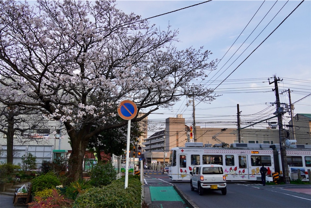 f:id:aki_tokitamago:20260402123502j:image