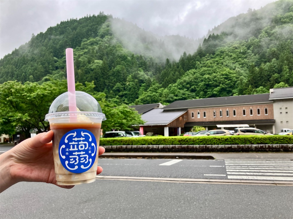 f:id:aki_tokitamago:20260609075822j:image