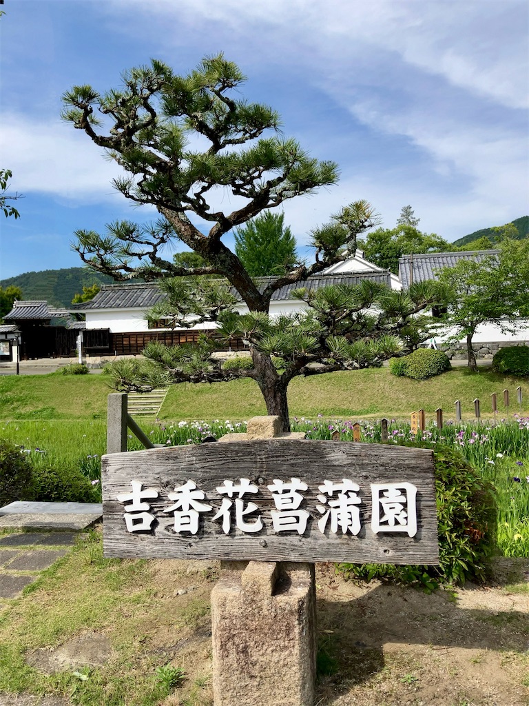 f:id:aki_tokitamago:20260617111314j:image
