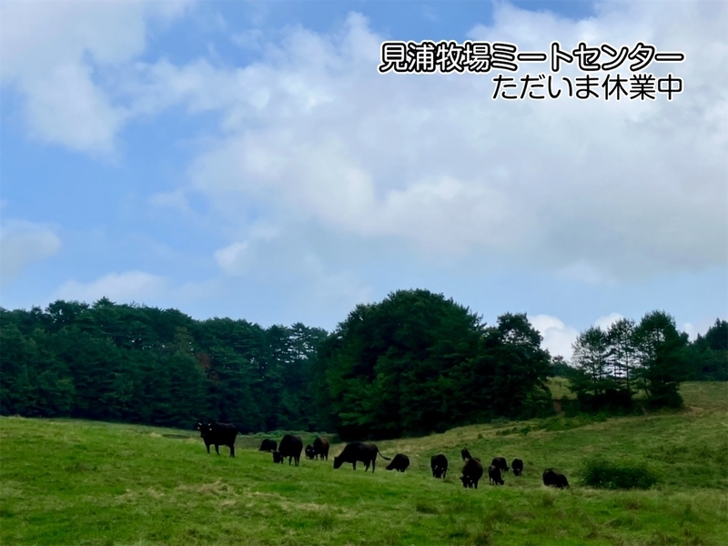 エントリ画像
