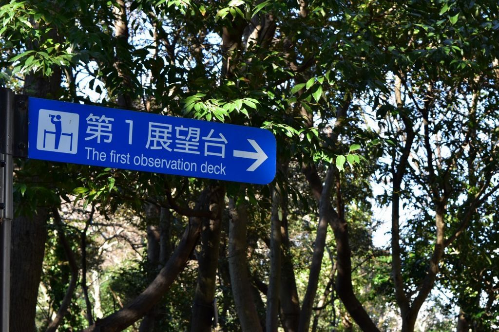 柿田川公園の第1展望台 柿田川公園の第1展望台