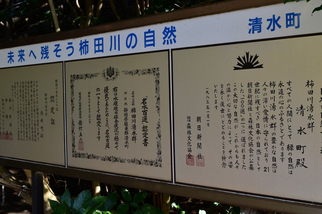 柿田川公園の第1展望台 柿田川公園の第1展望台
