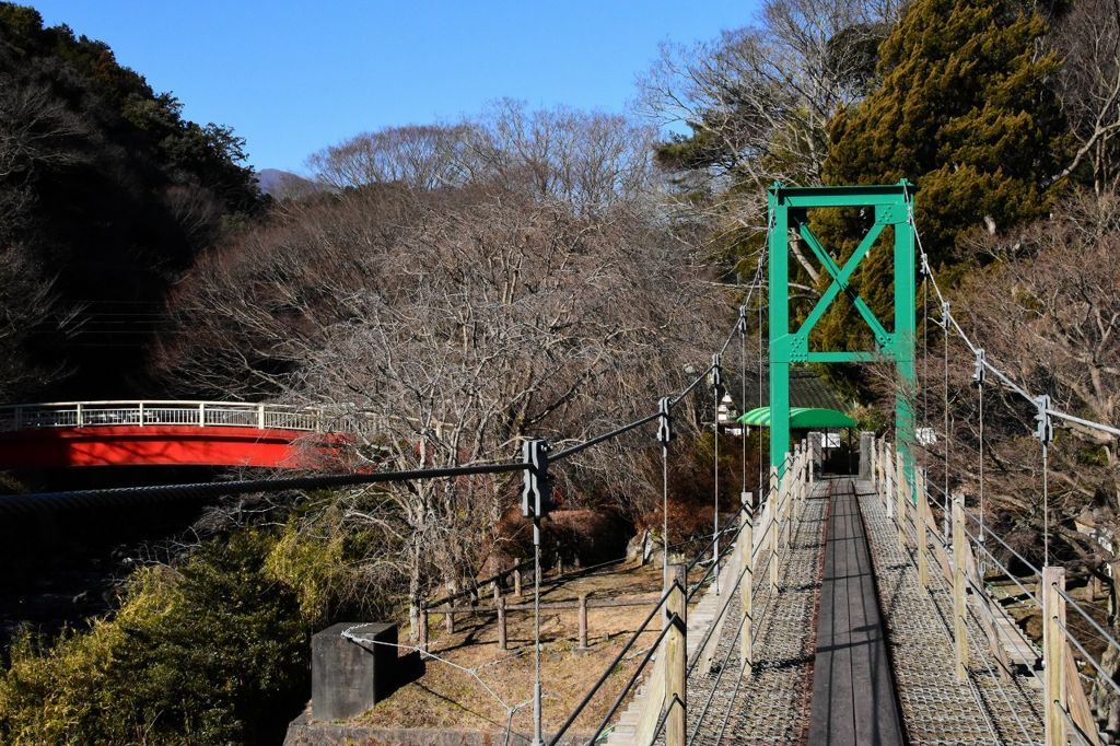 裾野市中央公園 裾野市中央公園