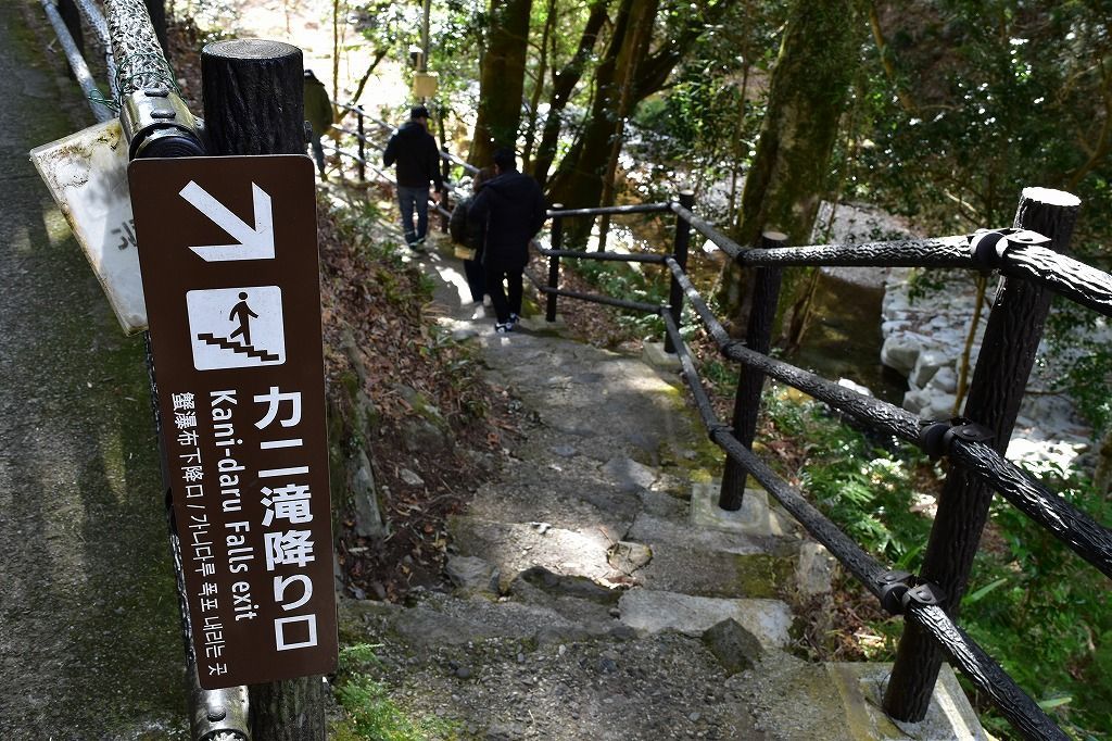 河津七滝のカニ滝 河津七滝のカニ滝