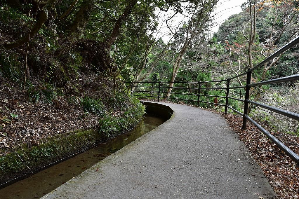 河津七滝の散策道 河津七滝の散策道