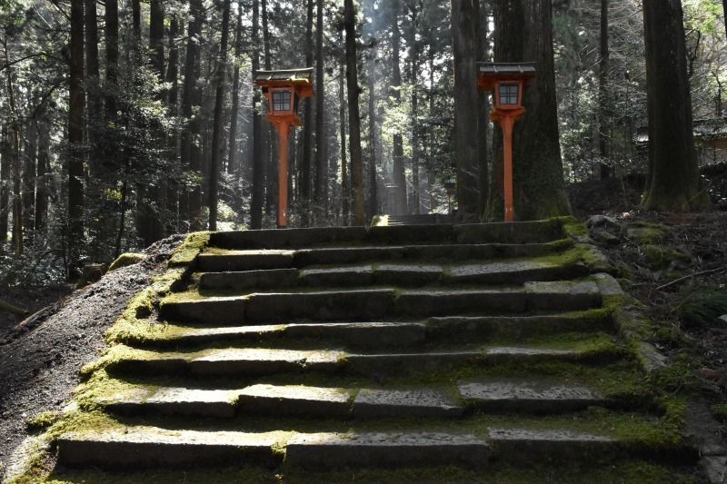二岡神社の参道 二岡神社の参道