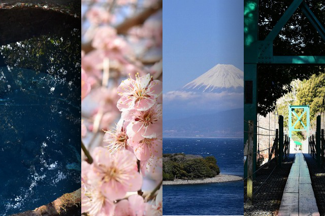 Nikon-D5500で撮影した写真 Nikon-D5500で撮影した写真