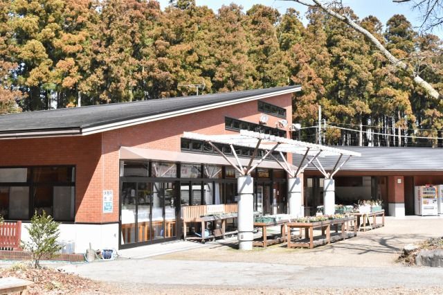 秩父宮記念公園 秩父宮記念公園