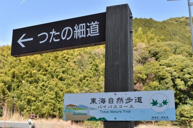 つたの細道 つたの細道