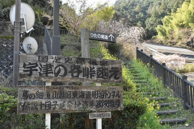つたの細道 つたの細道