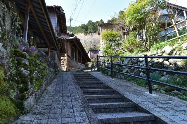 トイカメラエフェクトなし トイカメラエフェクトなし