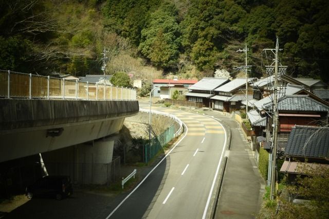 Nikon-D5500-トイカメラエフェクト Nikon-D5500-トイカメラエフェクト