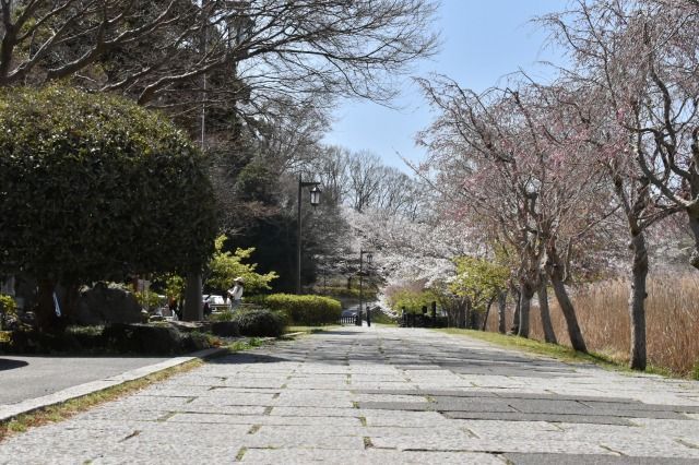韮山の城池親水公園 韮山の城池親水公園