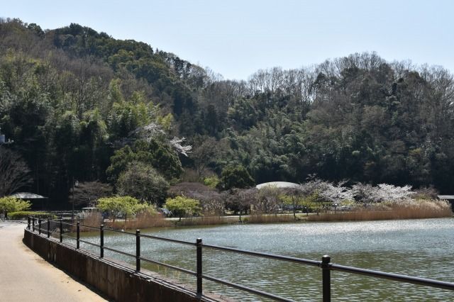 韮山の城池親水公園 韮山の城池親水公園