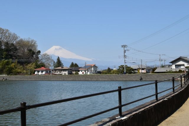 韮山の城池親水公園 韮山の城池親水公園