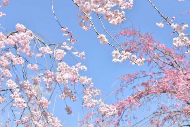 城池親水公園 城池親水公園