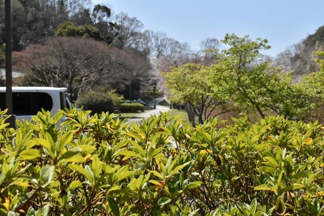 城池親水公園 城池親水公園
