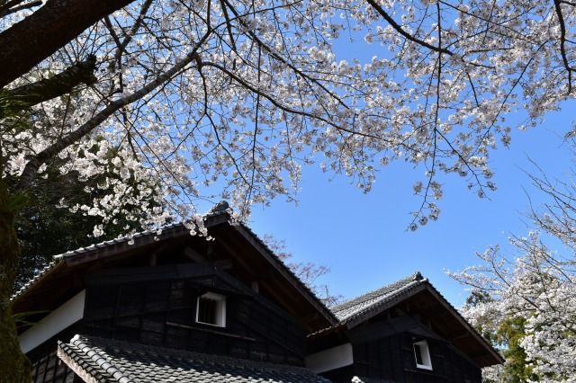 重要文化財の江川邸 重要文化財の江川邸
