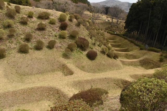 山中城跡の障子堀 山中城跡の障子堀