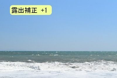 D5500-露出補正+1 D5500-露出補正+1