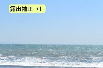 D5500-露出補正+1 D5500-露出補正+1