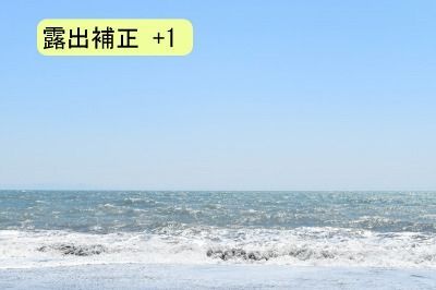 D5500-露出補正+1 D5500-露出補正+1