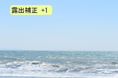 D5500-露出補正+1 D5500-露出補正+1